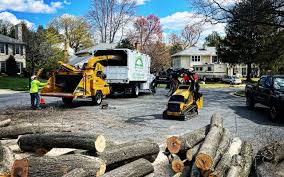 How Our Tree Care Process Works  in Liberty Triangle, FL